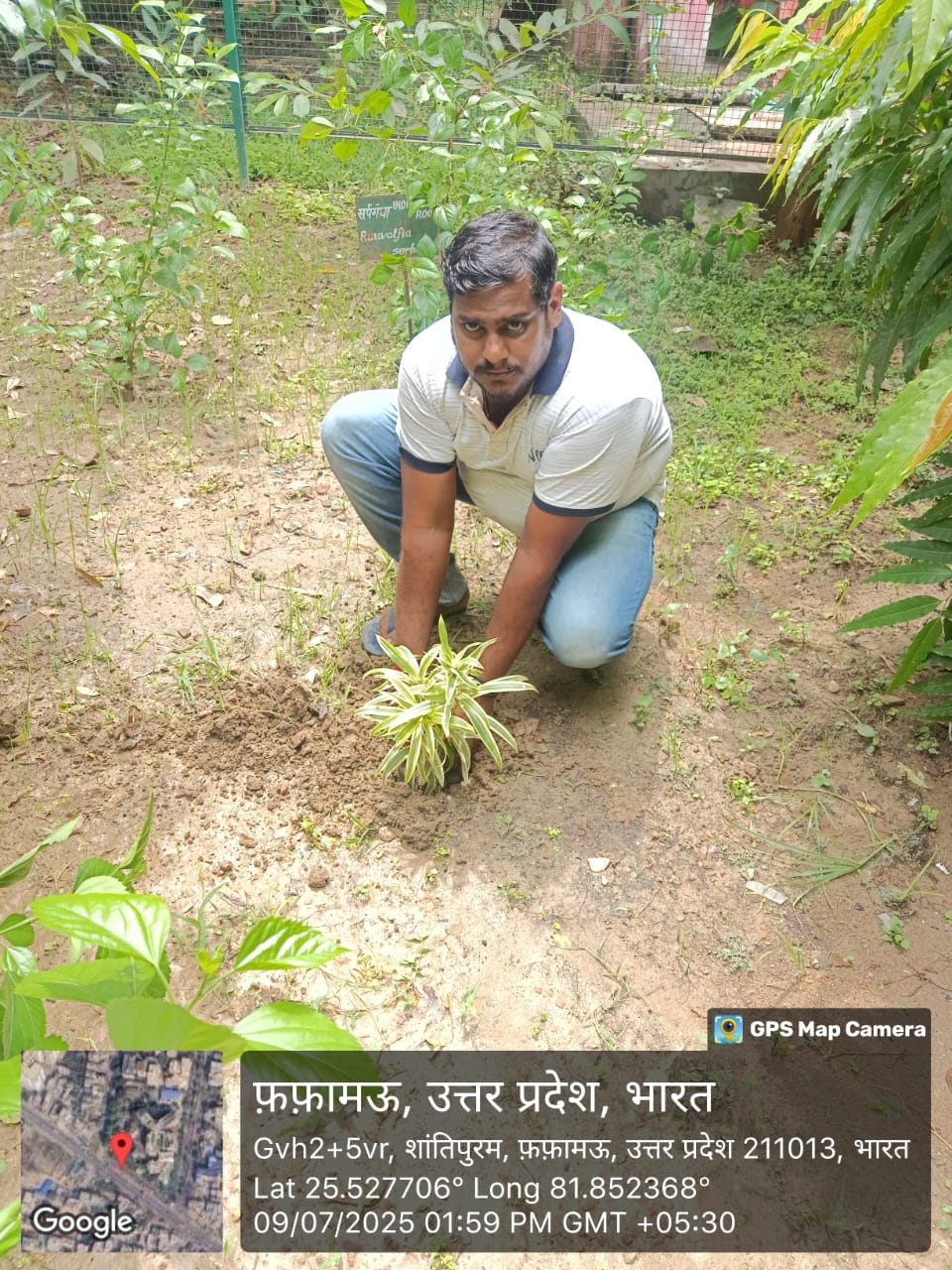 <p>एक पेड़ मां के नाम </p>